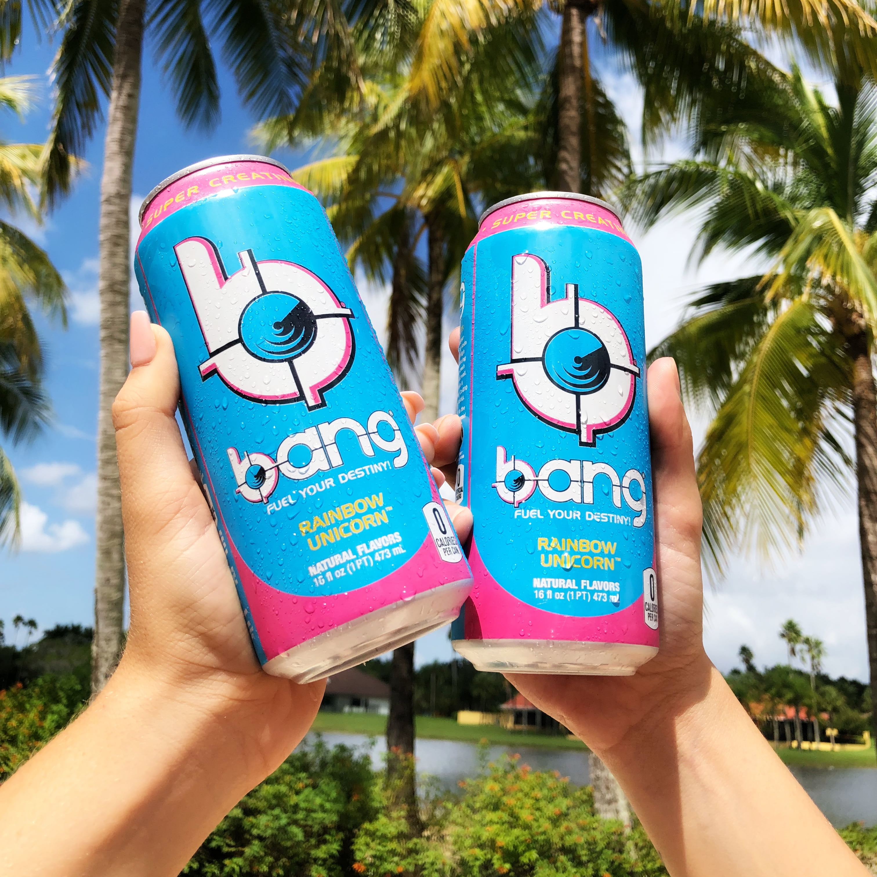 Bang Rainbow Unicorn Energy Drink With Super Creatine 16 Oz Cans 12 Count Walmart Com Walmart Com Bang Rainbow Unicorn Energy Drink With Super Creatine 16 Oz Cans 12 Count Walmart Com Walmart Com