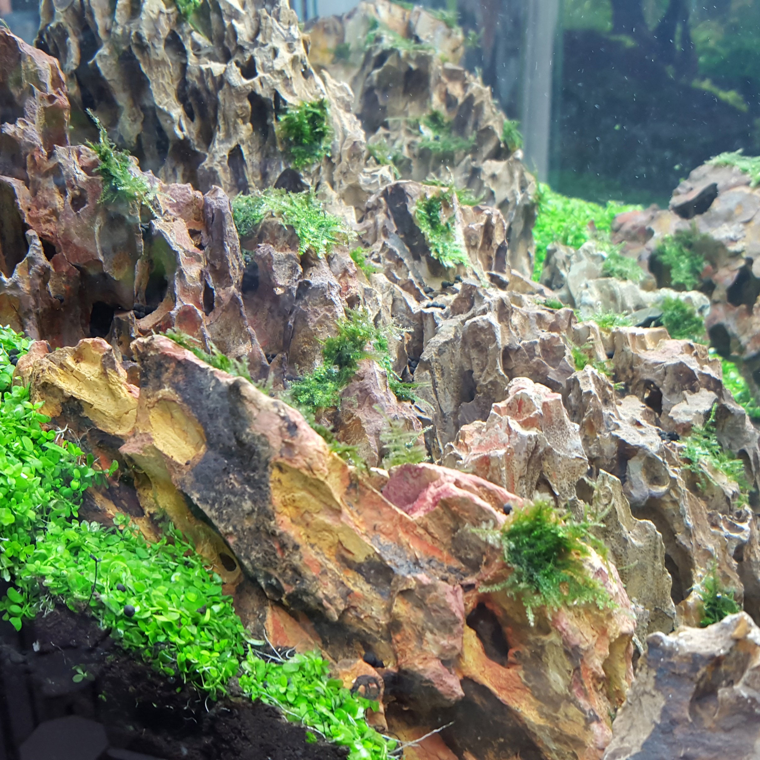 Dragon Ohko Rock - 20 Lbs Mix Size Kit of Large, Medium and Small Rocks