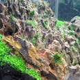 Aquarium Decorative Dragon Ohko Rock - 20 Lbs Mix Size Kit for Fish ...