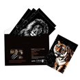 thumbnail image 4 of Set de papel para rascar Art Scratch Georgie Porgy, A4, kit de animales mágicos, 4 of 7
