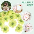 thumbnail image 4 of Uxcell 100 Paquete Cabezas de Flores Artificiales Cabeza de Ciruelo de Seda Falsa Verde Claro, 4 of 7