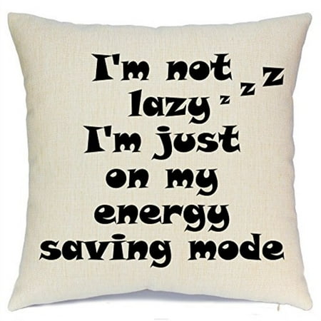 Throw Pillow Cover Quotes Throw Pillows Covers With Funny Quote I