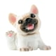 thumbnail image 1 of Estatua de perro, colección de esculturas de perro, mini estatua de resina de simulación, figuras de animales Doguillo, 1 of 9