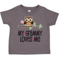 thumbnail image 3 of Inktastic Grammy Loves Me Grandchild Owl Girls Toddler T-Shirt, 3 of 5