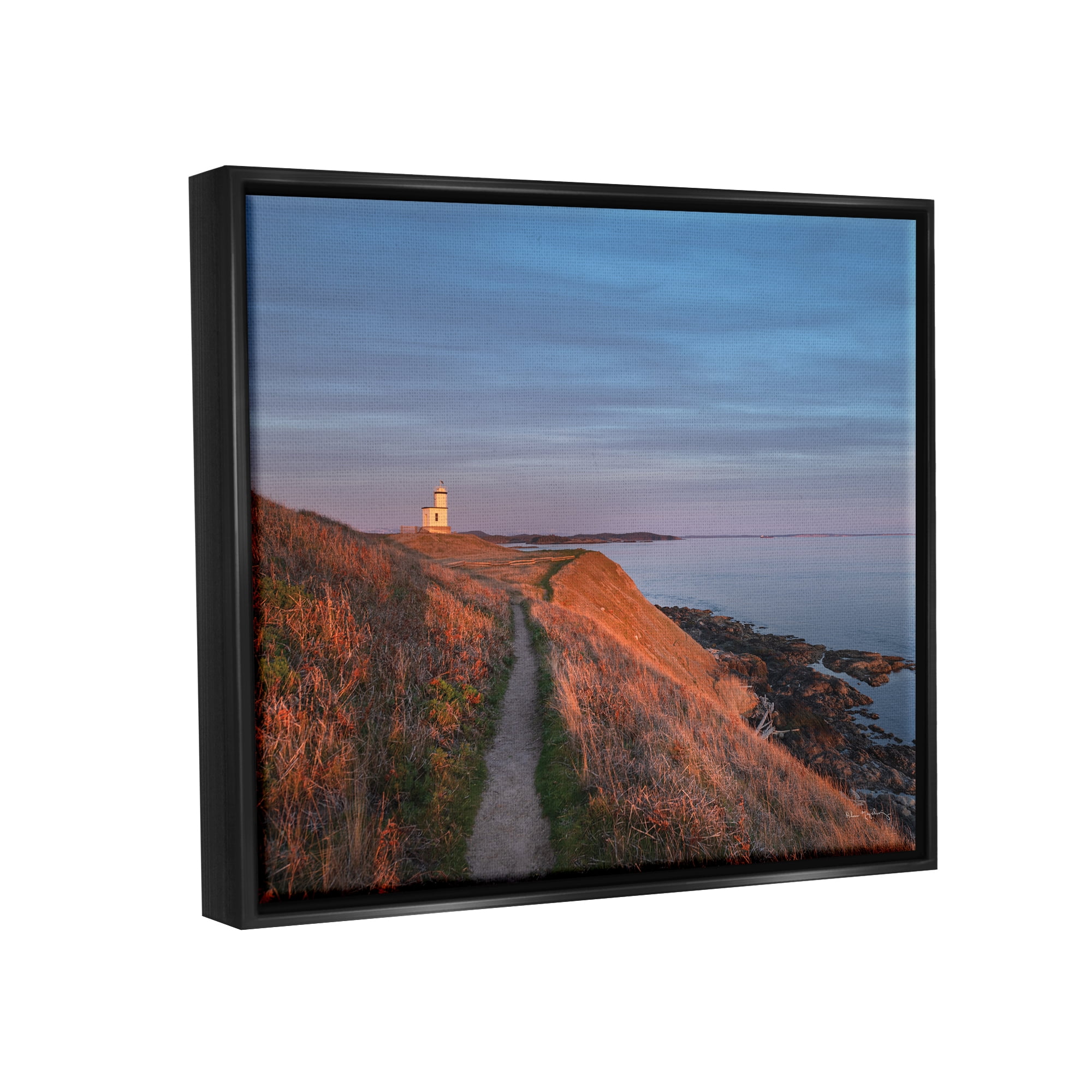 Stupell Industries Path to Lighthouse Landscape Photography Black Floater Framed Canvas Art Print Wall Art, 31 x 25