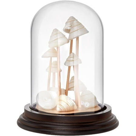 4.3x5.1 inch Cloche Glass Dome Display Glass Bell Jar with Wooden Base Decorative Clear Centerpiece Stand for Flower Storage Home Christmas Party Favor Decoration