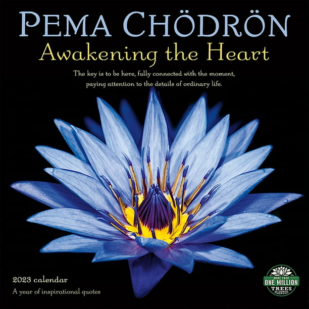 Pema Chodron 2023 Wall Calendar: A Year of Inspirational Quotes (Other