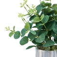 thumbnail image 3 of Elements 15-inch Eucalyptus/Artificial Greenery in Marble Pot, 3 of 4
