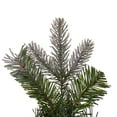 thumbnail image 5 of Vickerman 24" Frosted Douglas Fir Artificial UnLit Wreath., 5 of 5