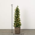 thumbnail image 5 of 49"H Sullivans Artificial Medium LED Pine Christmas Tree Planter, Green, 5 of 5