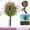 Multi-color#4, variant on pstuiky Spring Camellia with Eucalyptus Artificial Flowers Lifelike Home Decor Greenery for Indoor Spaces No Maintenance Faux Plants for Table Centerpiece and Shelf Display Includes One Piece