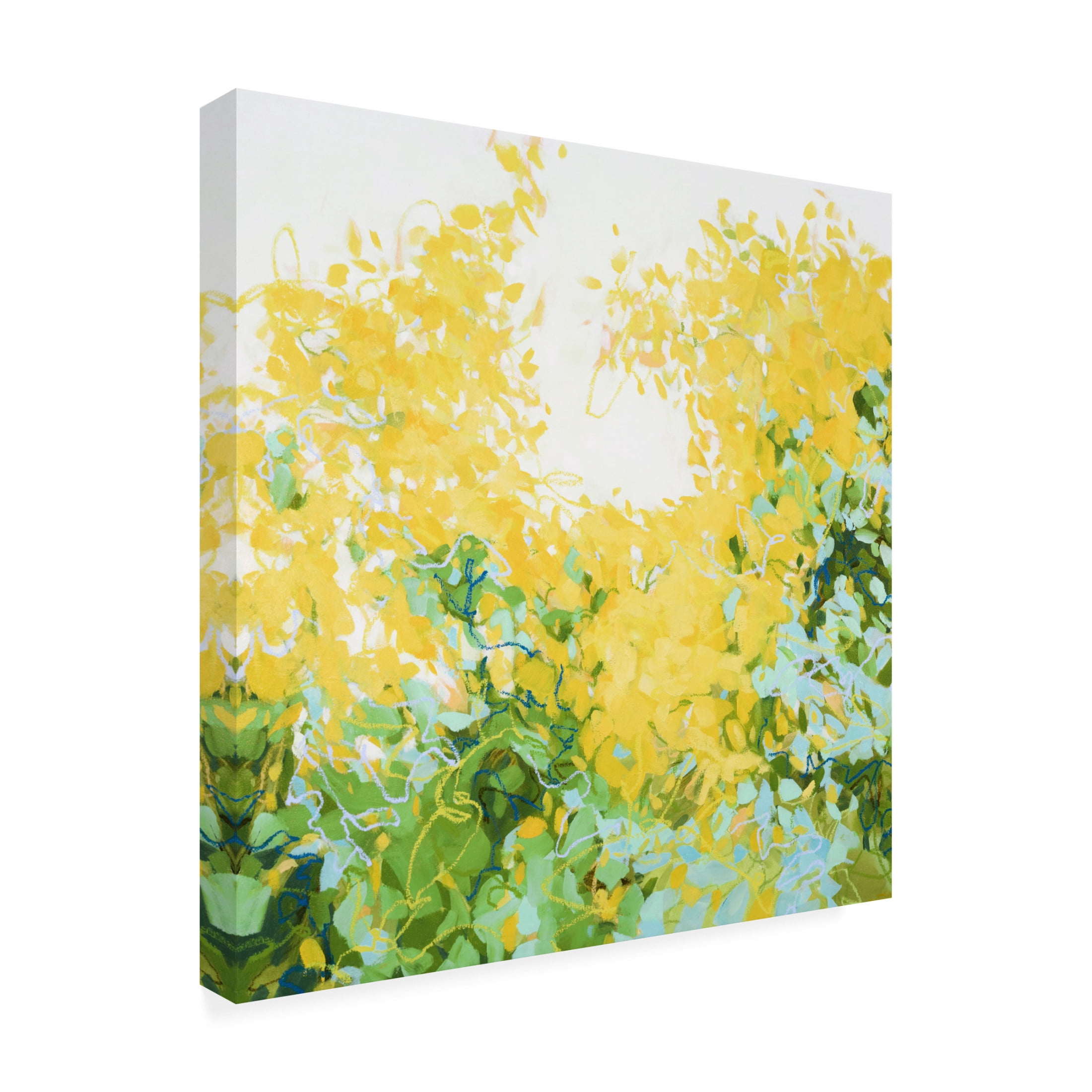 Canvas Wall Art - Cameron Schmitz 'Wonderment' Wall Art for Living Room, Bedroom, or Office Décor by Trademark Fine Art - 18 x 18 Inches