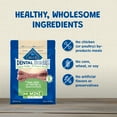 thumbnail image 6 of Blue Buffalo Dental Bones Mini Natural Dental Chew Dog Treats, 12-oz. Bag, 6 of 9