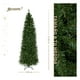 thumbnail image 3 of Árbol de Navidad Pino Canadiense Tipo Lápiz, Esquimal (Verde, 2.50 m), 3 of 6