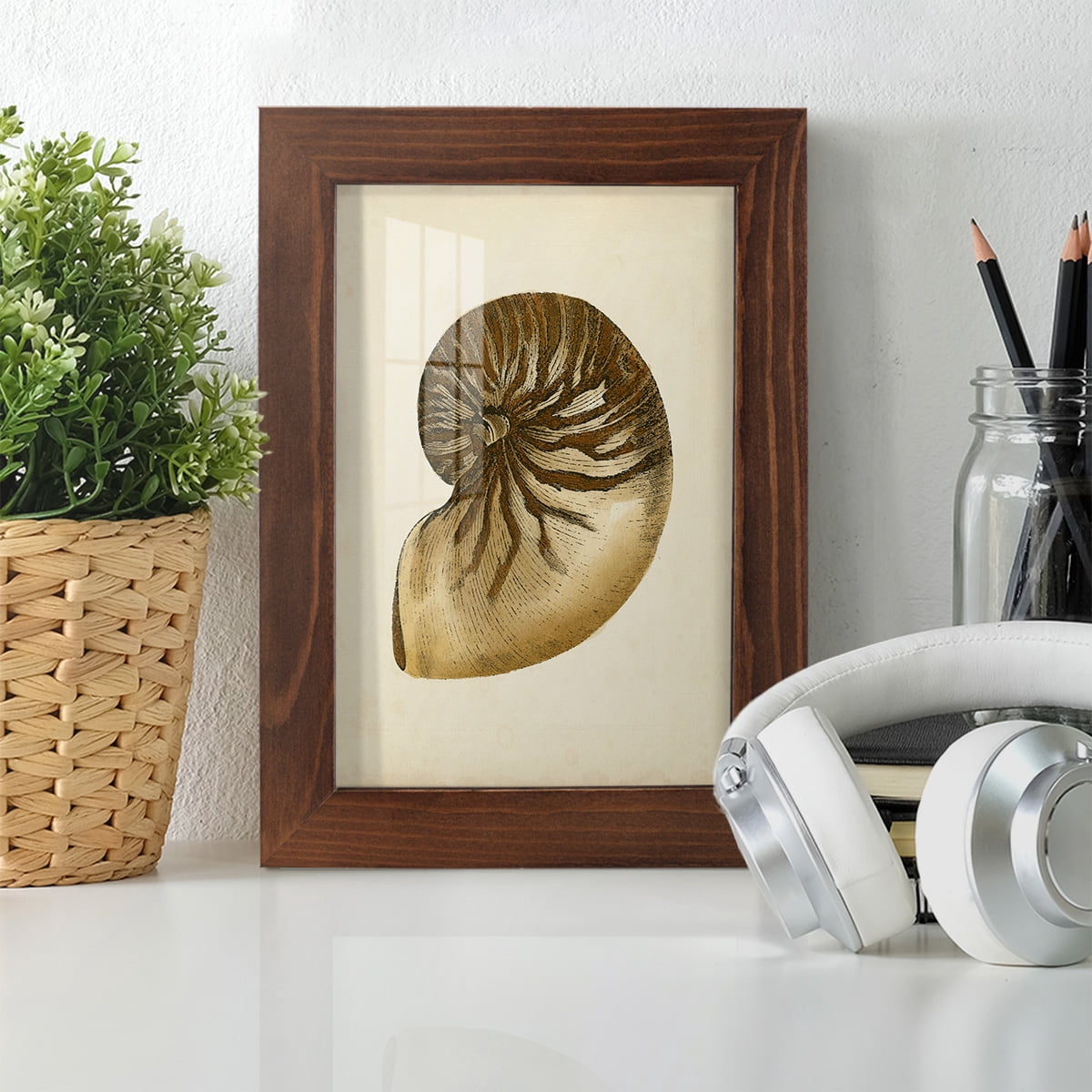 Sealife Collection V - Framed Print w/glass - Chestnut