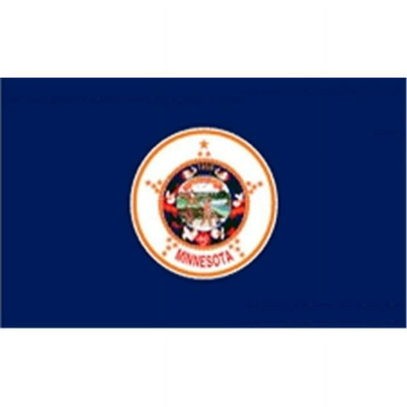 Annin Flagmakers 142750 2 ft. X 3 ft. Nyl-Glo Minnesota Flag