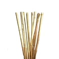 thumbnail image 3 of Natural THICK bamboo Stakes 5 Feet Tall About Half Inch Diameter - Pack of 16 - Natural Yellow, 3 of 4