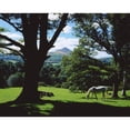 thumbnail image 2 of Posterazzi DPI1809352LARGE Powerscourt Estate County Wicklow Ireland - White Horse Grazing in Park Poster Print by The Irish Image Collection, 34 x 26 - Large, 2 of 4
