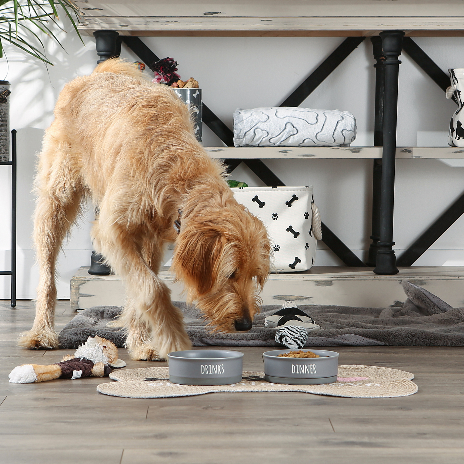 DII Pet Bowl Dinner And Drinks Gray Medium (Set of 2)