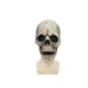 thumbnail image 5 of Máscara de Halloween para adultos, máscara de calavera, máscara de calavera, cubierta de cara 3D de calavera de Halloween TUNC Sencillez, 5 of 5