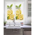 thumbnail image 2 of Window Privacy Film Summer Lemon Stained Glass Window Film Decorative Sun Block Window Cover Yellow Fruit Bottle Plant Farm Country Window Clings Static Adhesive Sticker for Bathroom 17.7"x39.3", 2 of 7
