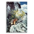 thumbnail image 1 of Epic Art 'Mountain Bloom-Ground Squirrel' by Ron Parker, Acrylic Glass Wall Art, 16"x24", 1 of 8