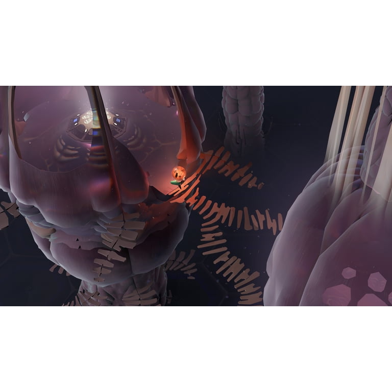 COCOON, Nintendo Switch - Walmart.com