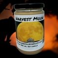 thumbnail image 4 of Harvest Moon Vegan Coconut Soy 12 oz/ 355 ml Candle Hand-poured, Eco-friendly, Clean Burning, Fruity Woodsy Clean Wood Wick, 4 of 5