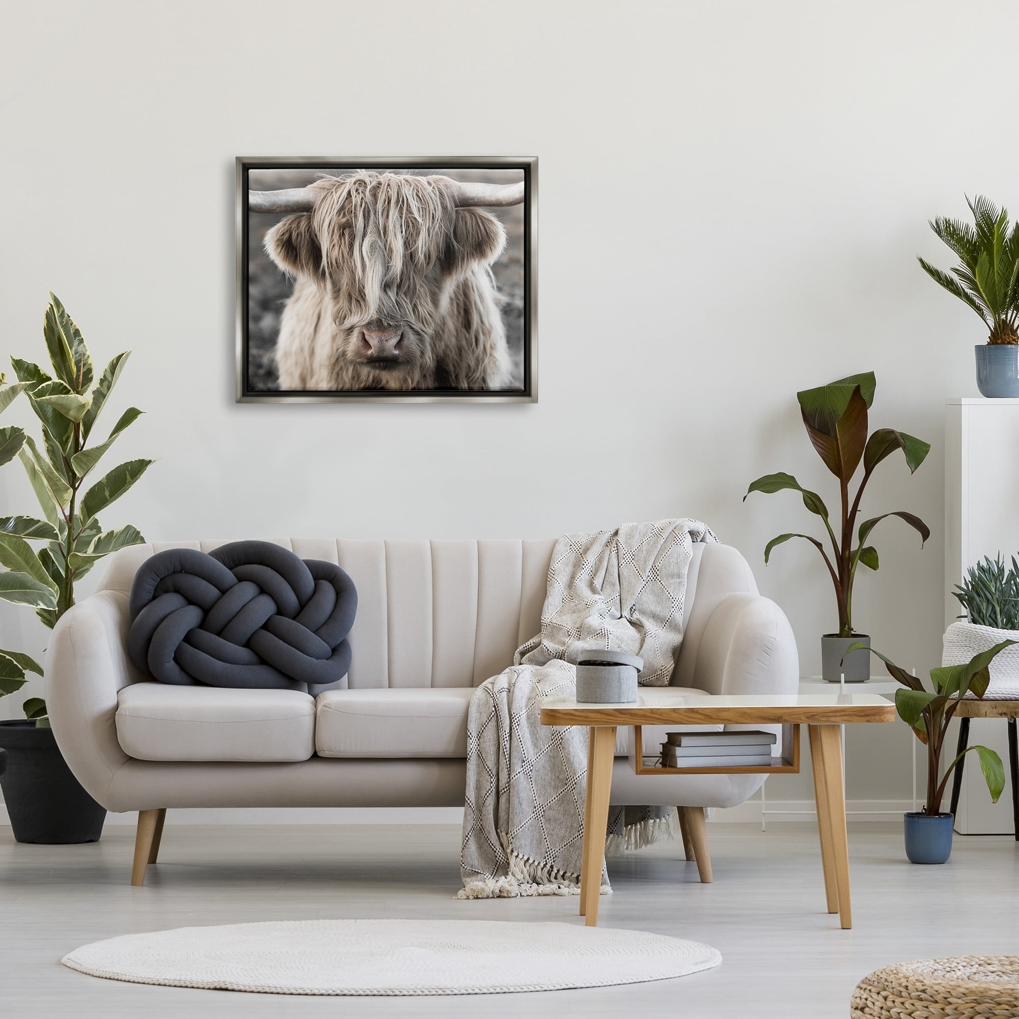 Stupell Industries Detailed Highlands Cattle Rural Farm Animal Photography Photograph Luster Gray Floating Framed Canvas Print Wall Art, Design by Danita Delimont