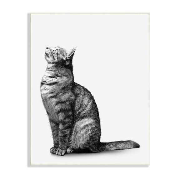 Stupell Industries Manx Cat Sitting Calmly Detailed Casual Portrait Graphic Art Unframed Art Print Wall Art, Design by Ziwei Li