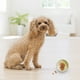 thumbnail image 3 of Xihbxyly Pelota de Premios para Perros, Juguete Interactivo con Dispensador de Comida, Juego de Rompecabezas Rodante, Alimentación Lenta, Potencia La Inteligencia, Estimula El Juego, Divertidos Efect, 3 of 3
