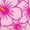 HEATHER PINK, variant on Instant Message - Hibiscus Flowers - Women's Short Sleeve Graphic T-Shirt