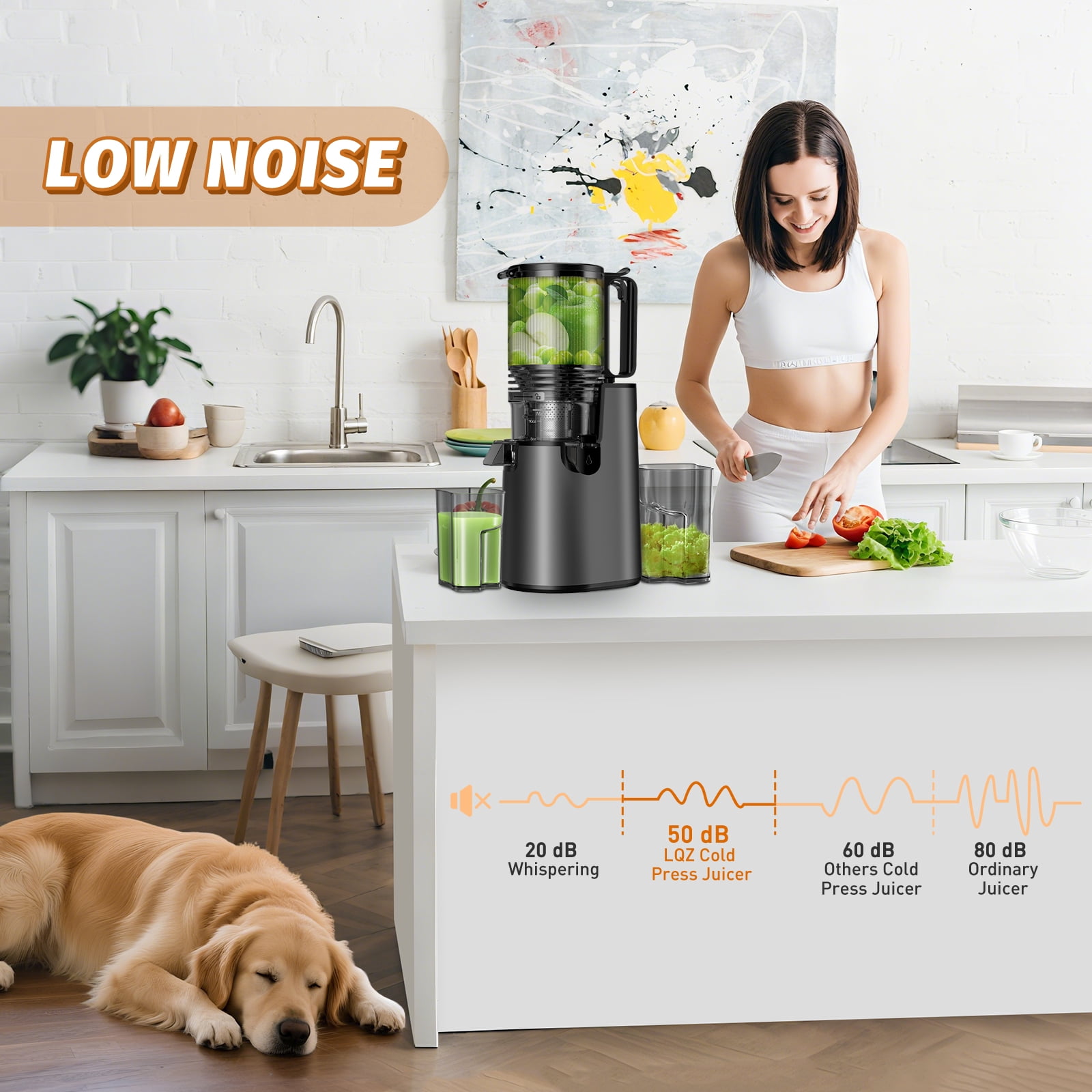 DARKIRON Cold Press Juicer, Masticating Juicer with 5.4" Large Feed Chute, 400W Slow Juicer Machines Fit Whole Vegetables and Fruits,Juicer Machine with High Juice Yield (Black)