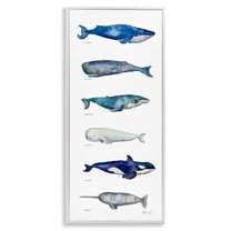 Stupell Industries Maritime Sea Life Ocean Whales Narwhal Chart Diagram , 13 x 30, Design by MB Cunningham