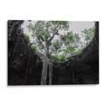 thumbnail image 1 of Cuadro decorativo - El Cenote, Arturo Sánchez 135x90 Canvas Lab Botánica, Paisajes, Naturaleza, Animales y naturaleza, Árboles, 1 of 2