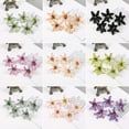 thumbnail image 7 of 10Pcs Fake Flower Head Vivid Decorative DIY Exquisite Bell Orchid Floral Head Wedding Supplies, 7 of 7