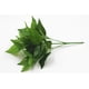 thumbnail image 3 of 5 piezas de tallos de hojas de eucalipto falsos Planta de hojas de eucalipto de dólar de plata artificial a granel en verde gris Verde de boda alto Vegetación artificial, 3 of 4