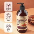 thumbnail image 1 of Sadoer après-Shampooing Adoucissant à l'Huile d'Argan (Édition Étrangère) (Neuf) 500ml, 1 of 9