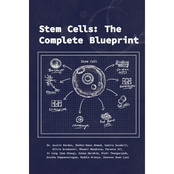 Stem Cells: The Complete Blueprint (Paperback)