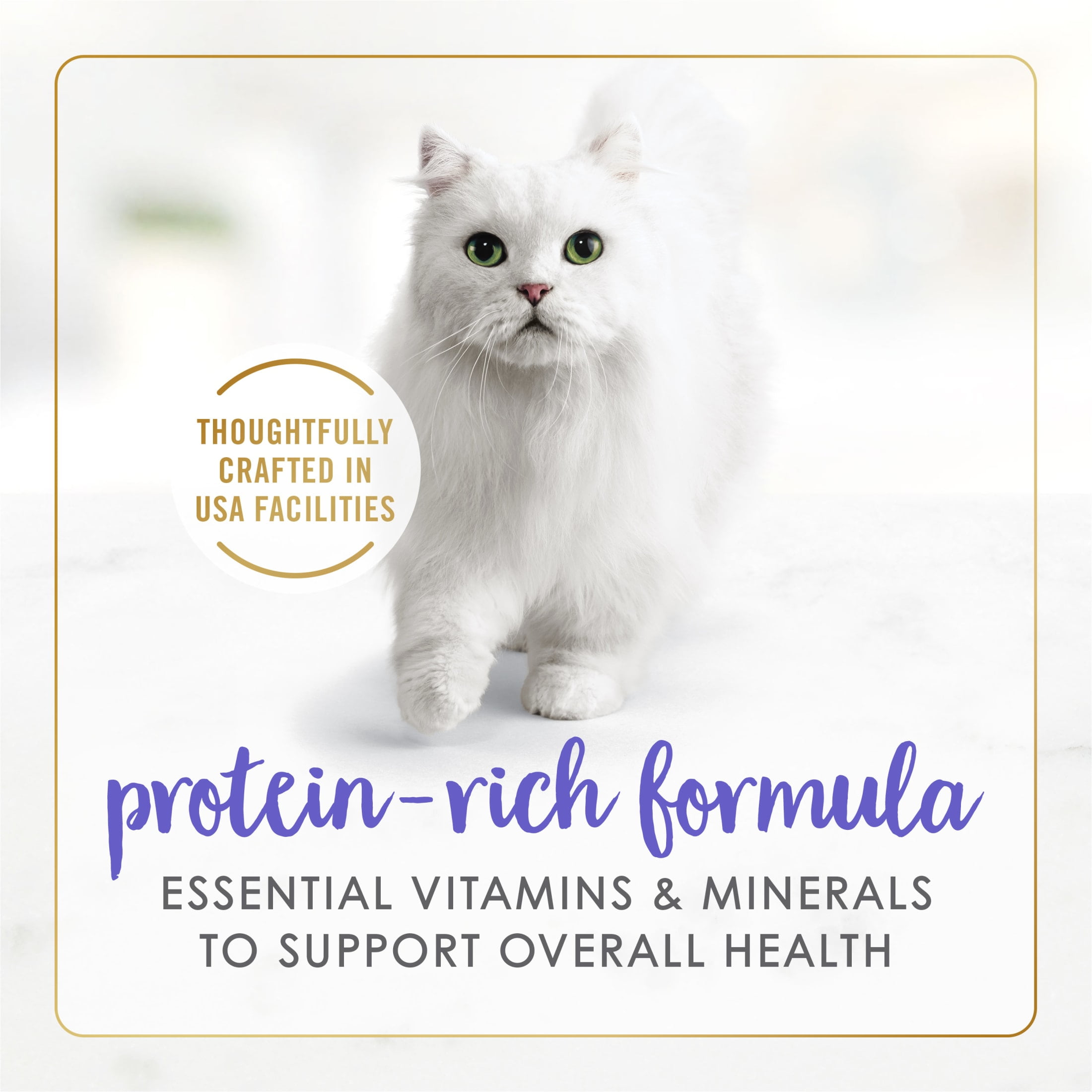 (12 pack) Purina Fancy Feast Grilled Kitten Food, Wet Cat Food, Seafood Feast in Gravy, 3 oz Cans