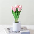 thumbnail image 7 of FENGGHAO Mothers Day Tulip Night Light 6 Heads Pink Artificial Flower LED Lamp with Vase Dimmable Rechargeable Table Centerpiece Home Decor, 7 of 7