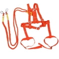 thumbnail image 1 of S SERENABLE 2m Fall Protection Full Body Harness with Double Ropes and Hooks, 100kg,, 1 of 9