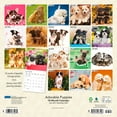thumbnail image 2 of Adorable Puppies | 2024 12x24" 18 Month Wall Calendar | Jul '23 - Dec '24 | Plato, 2 of 8