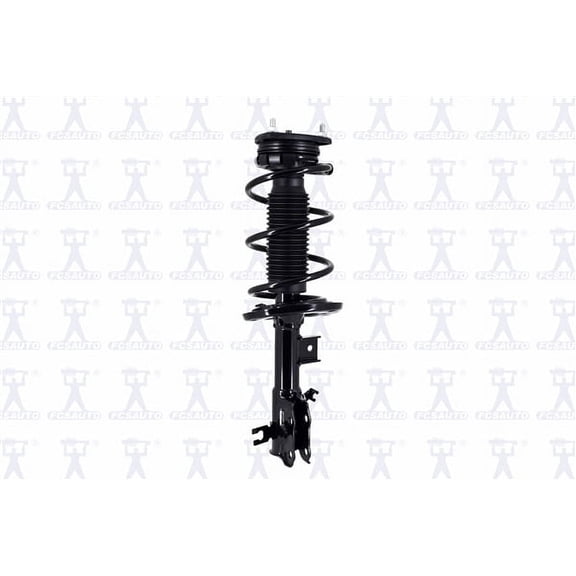 Suspension Strut and Coil Spring Assembly