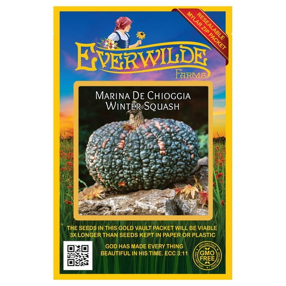 Everwilde Farms - 10 Marina de Chioggia Winter Squash Seeds - Gold Vault Seed Packet