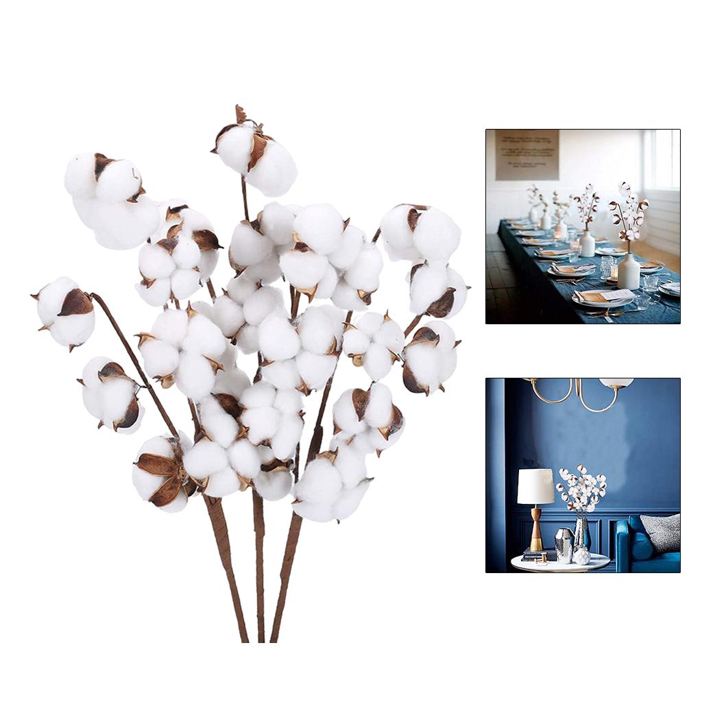 Axioma tishita 40cm Natural Dried Cotton Artificial Flower Floral Arrangement Fillers 7 Bolls 6pcs