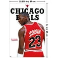 thumbnail image 2 of Michael Jordan - Feature Series Wall Poster, 22.375" x 34", 2 of 4