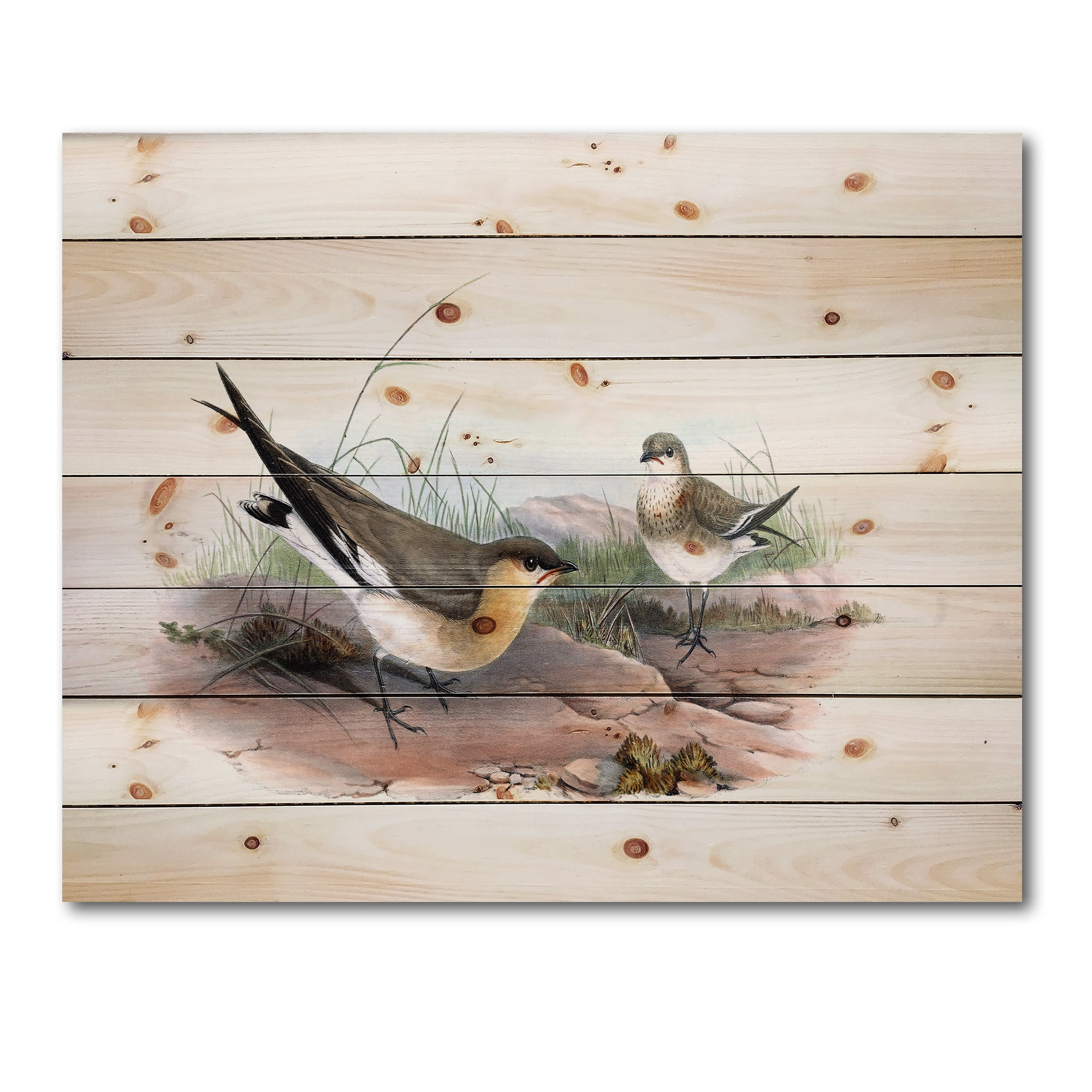 Designart 'Ancient Bird Illustration II' Farmhouse Print on Natural Pine Wood