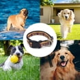 thumbnail image 5 of 1. Su perro merece el mejor collar cómodo para perros pequeños, medianos, grandes y grandes, hecho de nailon duradero, cosido con hilo resistente y fabricado con herrajes extremadamente confiables y, 5 of 5