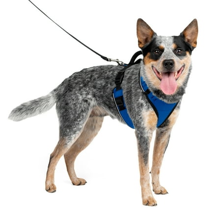 UPC: 0729849144606 | PetSafe EasySport Dog Harness  Comfortable Padding  Reflective  Medium  Blue